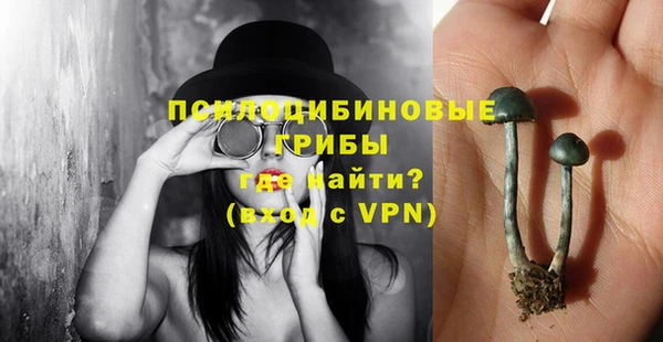 трава Аркадак